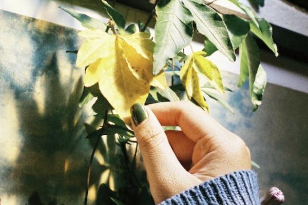 個(gè)人養(yǎng)老金和自己存錢的區(qū)別有哪些？哪個(gè)更劃算？