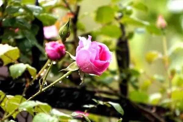 養(yǎng)老金總額怎么查詢？個人部分可以取出來嗎？