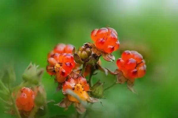 重慶醫(yī)保卡到期了能網上換嗎？換新卡流程是怎樣的？