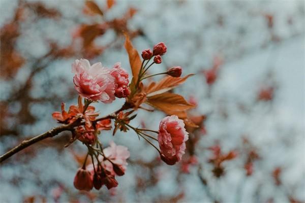 車(chē)輛事故保險(xiǎn)處理流程是什么？理賠要多長(zhǎng)時(shí)間？