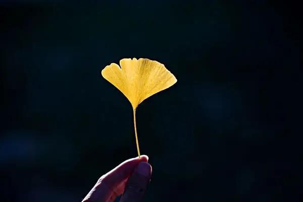 平安保險百萬醫(yī)療險一年交多少錢？選擇哪款好？
