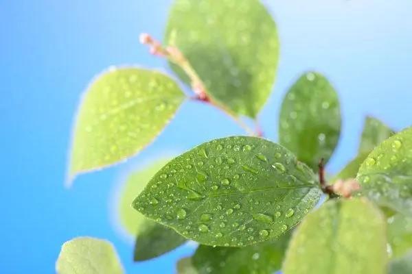 當(dāng)月離職公司還給交社保嗎？離職后還能交社保嗎？