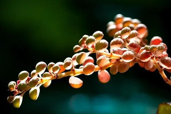 郵政推出的保險(xiǎn)理財(cái)產(chǎn)品可靠嗎？利率有多少？