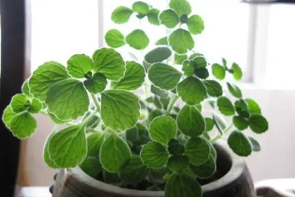 天津社保斷了個(gè)人如何補(bǔ)繳？要多少錢？