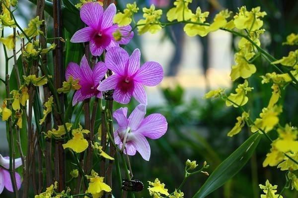 重疾醫(yī)療險(xiǎn)有必要買嗎？怎么買更劃算？