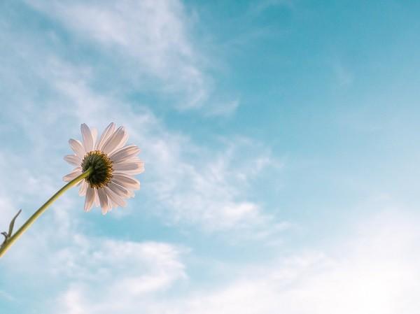 養(yǎng)老保險個人賬戶余額如何查詢？可以用來做什么？