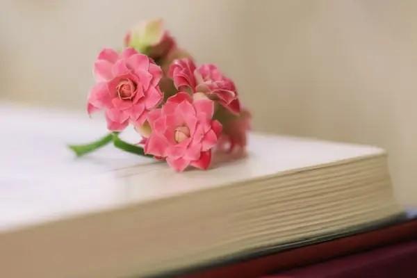 養(yǎng)老金多少歲之后可以領取？怎么取出來？