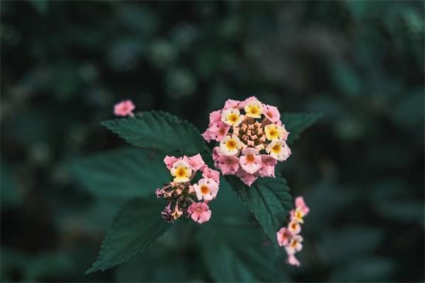 醫(yī)?？ǔ跏济艽a是多少？醫(yī)保卡每月打入多少錢(qián)？