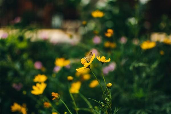 月薪5000五險(xiǎn)扣多少錢(qián)一個(gè)月？是從工資里扣嗎？