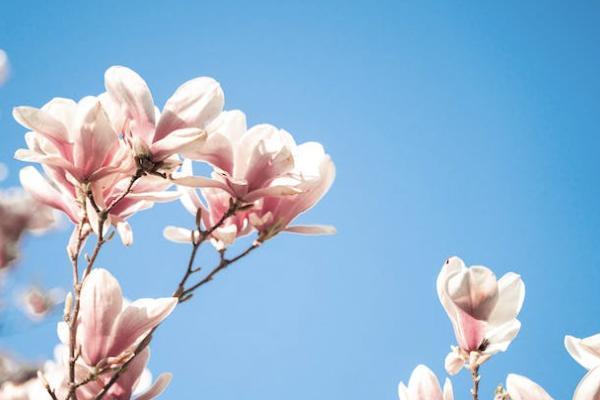 高端醫(yī)療險(xiǎn)一年多少錢