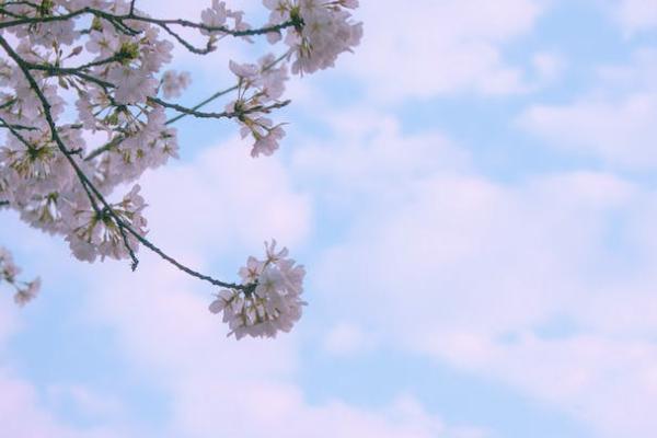 養(yǎng)老保險(xiǎn)計(jì)算公式是怎樣的？退休后可以領(lǐng)多少？