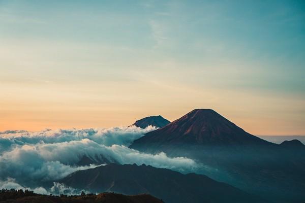保險公司十大排名哪家靠譜？哪家口碑最好？