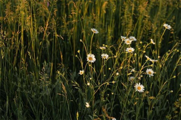 醫(yī)保統(tǒng)籌賬戶余額怎么查詢？里面的錢會用完嗎？