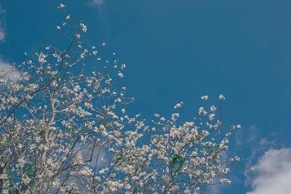 農(nóng)民老年人養(yǎng)老金一個月能領多少？需要交多少年？