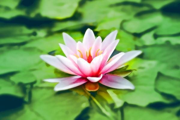 眾安百萬(wàn)醫(yī)療保險(xiǎn)基礎(chǔ)版保什么？怎么購(gòu)買(mǎi)？