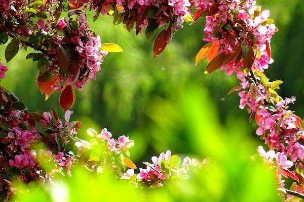 養(yǎng)老金計(jì)算方法與公式是怎樣的？養(yǎng)老金多少歲可以領(lǐng)錢？