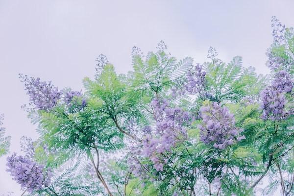 農(nóng)村醫(yī)保異地就醫(yī)報銷比例是多少？報銷要哪些資料？