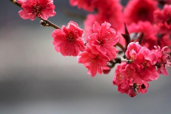 太平洋金佑人生交滿后能取嗎？太平洋金佑人生有什么優(yōu)缺點？