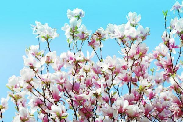 醫(yī)保多久到賬？報銷的錢在哪里？