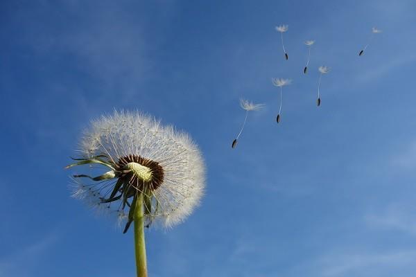 職工醫(yī)保統(tǒng)籌賬戶里的錢怎么用？是怎么來的？