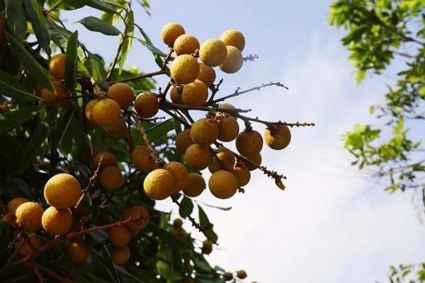 養(yǎng)老保險(xiǎn)怎么計(jì)算方法是怎樣的？如何領(lǐng)取養(yǎng)老金？