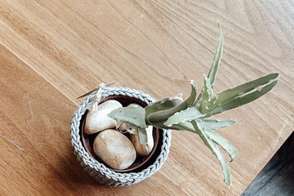 城鎮(zhèn)醫(yī)保報(bào)銷比例是多少？范圍包括哪些？