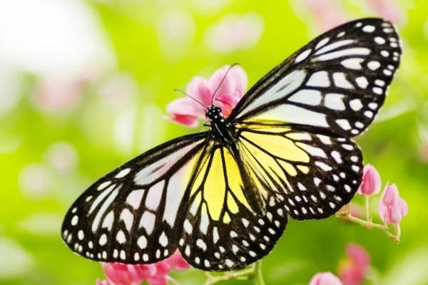 醫(yī)保卡怎么繳費？賬戶怎么查詢？