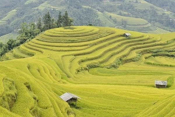 高端醫(yī)療險(xiǎn)哪個(gè)保險(xiǎn)公司好？適合哪些人群？