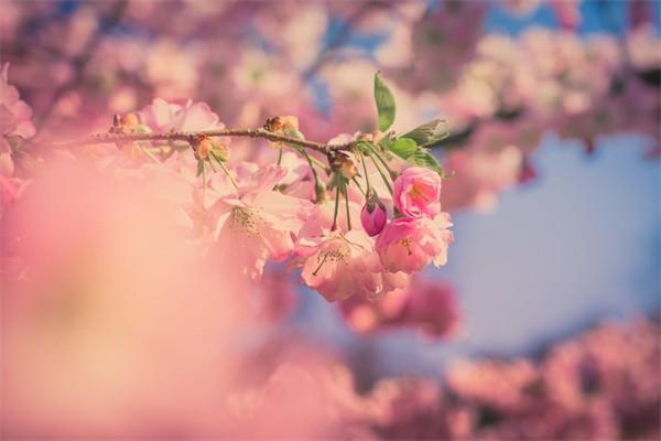 信泰如意鑫享養(yǎng)老年金保險(xiǎn)怎么樣？有哪些優(yōu)點(diǎn)？