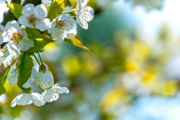 2023重疾險推薦有哪些？購買了有什么好處？