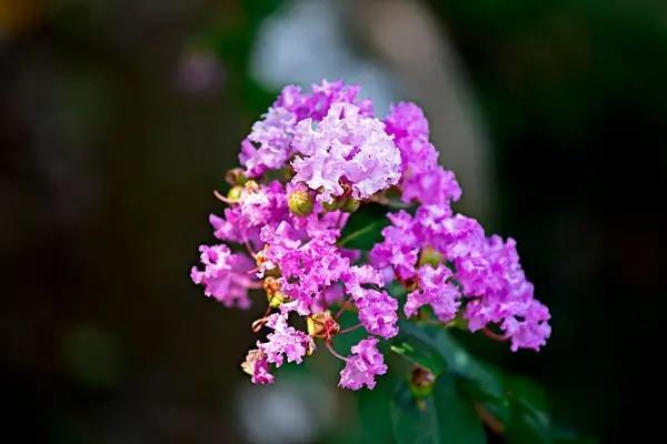 君悅一生養(yǎng)老年金保險(xiǎn)能提供哪些保障？本金能提前取嗎？