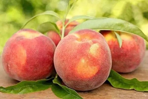 國壽和人壽區(qū)別有嗎？實(shí)力怎么樣？