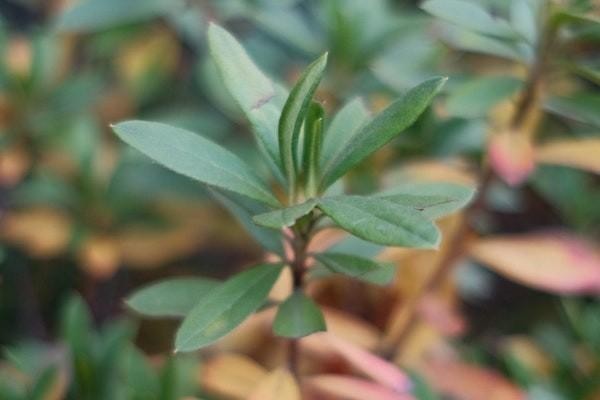 拍拍貸利息太高可以拒絕還款嗎？借款正規(guī)合法嗎？