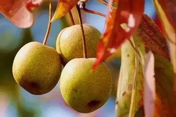 買(mǎi)保險(xiǎn)的七大好處是什么？怎么買(mǎi)更劃算？