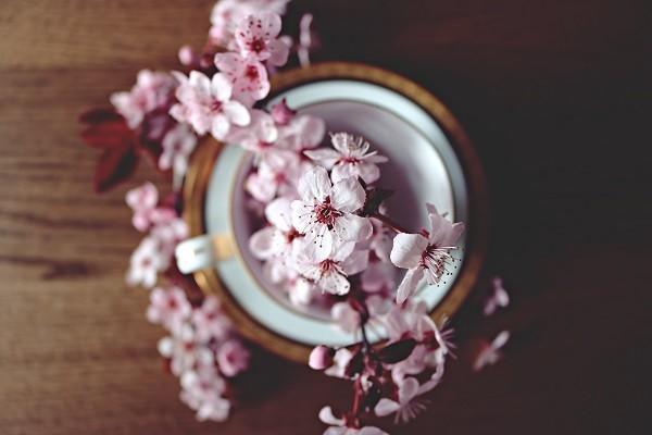 平安福保險的優(yōu)缺點有哪些？適合誰購買？