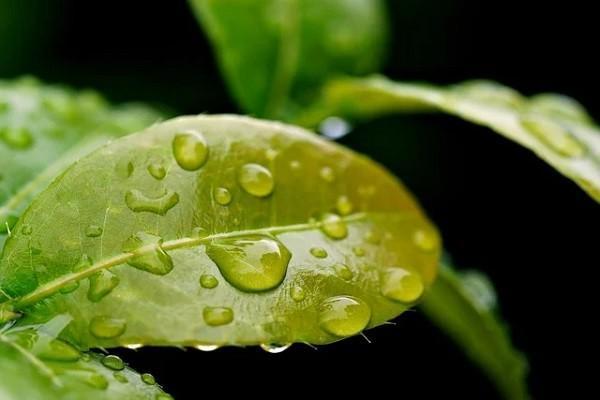 養(yǎng)老保險交多少錢？要交到多少歲？