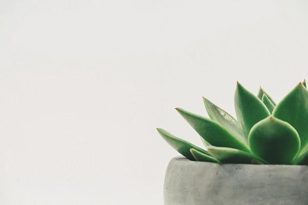 平安保險(xiǎn)萬(wàn)能險(xiǎn)怎么取錢？有哪些特點(diǎn)？