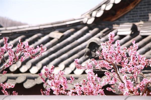 人壽保險(xiǎn)和人保哪個(gè)好