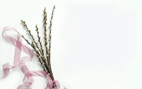 人壽學(xué)平險(xiǎn)報(bào)銷范圍和額度是什么？保單如何查詢？