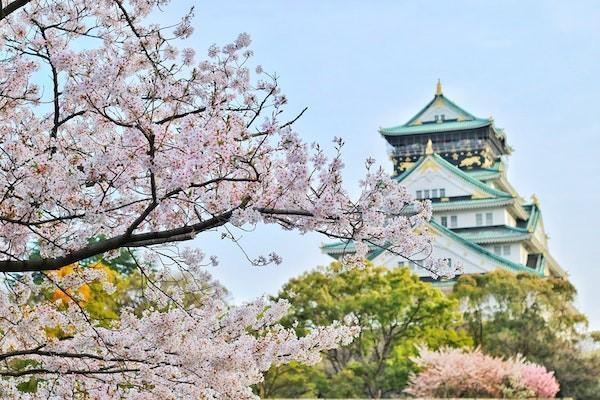 2023年靈活就業(yè)退休年齡是多少？靈活就業(yè)退休前需要交多少年？