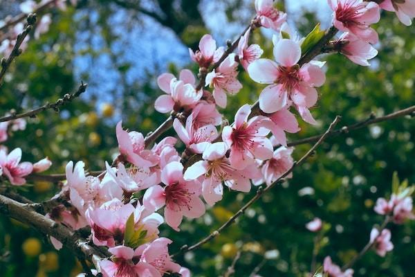社保卡丟失如何補(bǔ)辦？社?？▉G失補(bǔ)辦可以換照片嗎？
