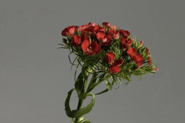 中國4大央企保險公司是哪些？業(yè)務(wù)范圍是什么？