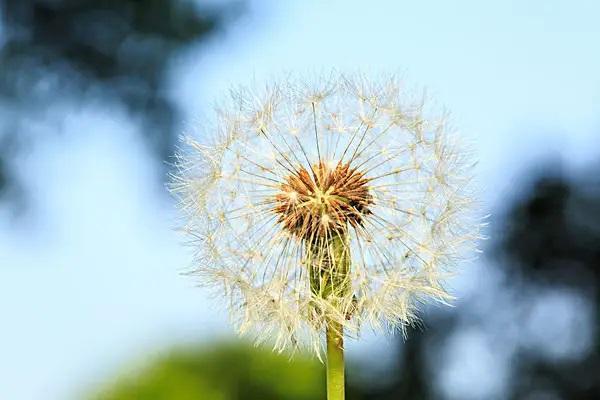 保險(xiǎn)交了8年退保能退多少錢？怎么降低退保損失？