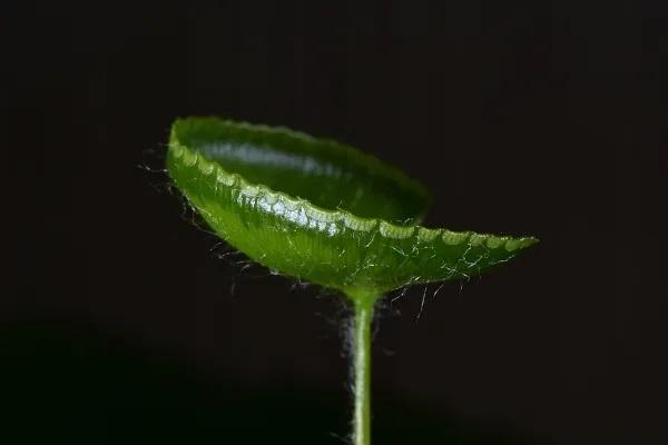 買了一年保險(xiǎn)退保怎樣可以退全款？找代理可靠嗎？