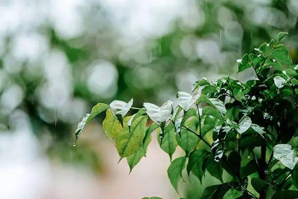 保險退保怎么退全款？找代理退可靠嗎？