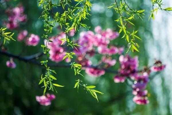 保險(xiǎn)斷交一年可以退保嗎？能退多少？