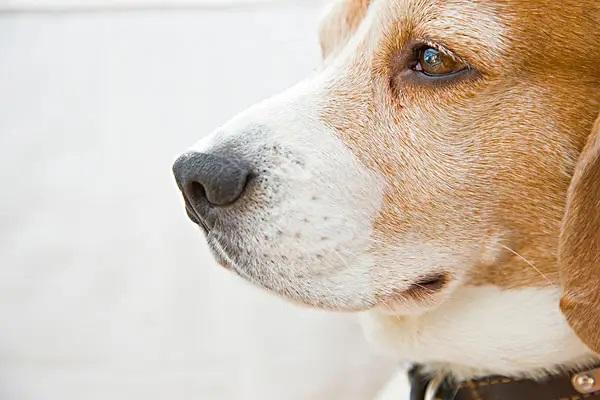 保險被騙了如何退保？能退多少錢？