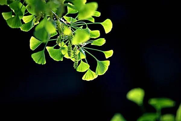 保險可以中途退保嗎？中途退保需要辦理什么手續(xù)？