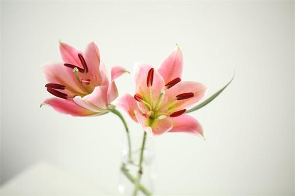 事業(yè)單位養(yǎng)老保險(xiǎn)要交多少錢(qián)？多少年才能領(lǐng)？