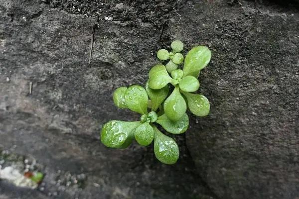 如果退保保費能退多少？手續(xù)如何辦理？